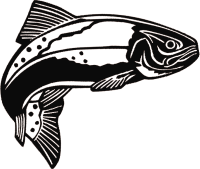 forel22