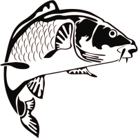 karp22